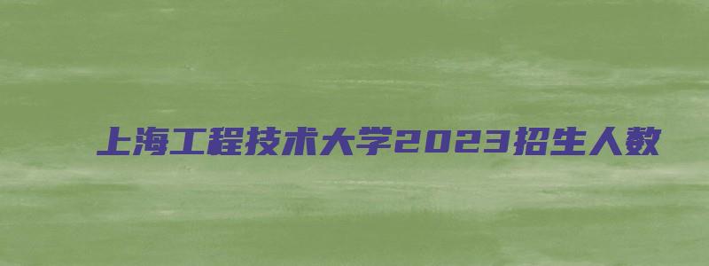 上海工程技术大学2023招生人数