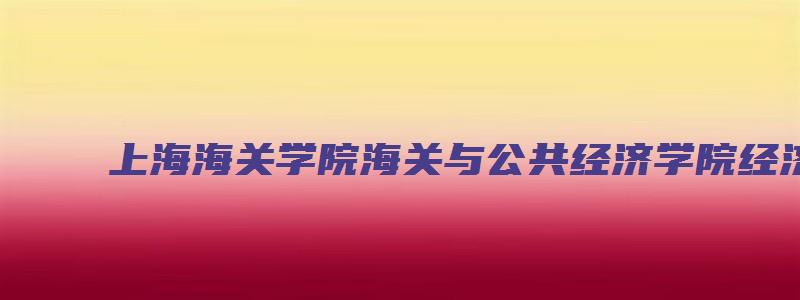上海海关学院海关与公共经济学院经济统计学专业分数